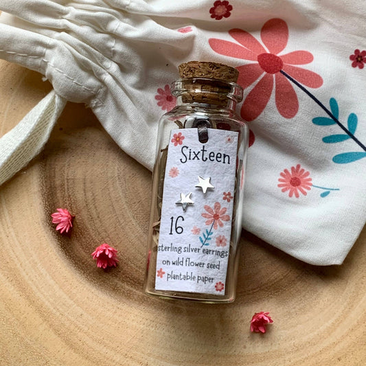 Age 16 Star Sterling Silver Bottled Earrings With Gift Bag 