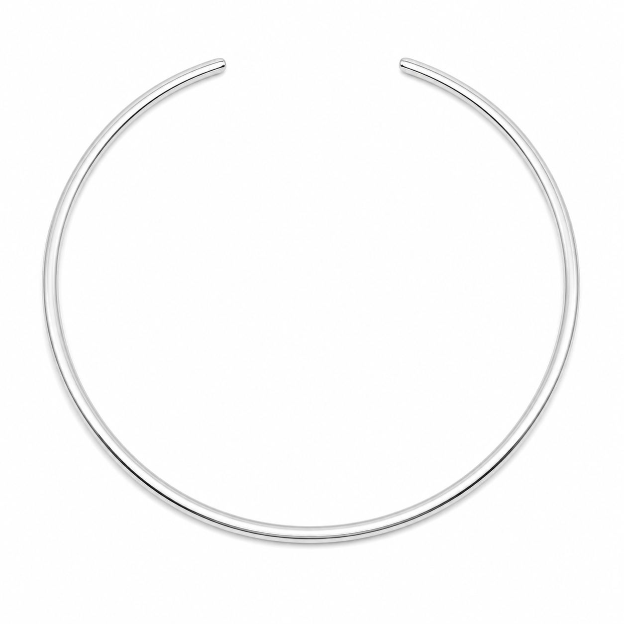 Round Torc Necklace